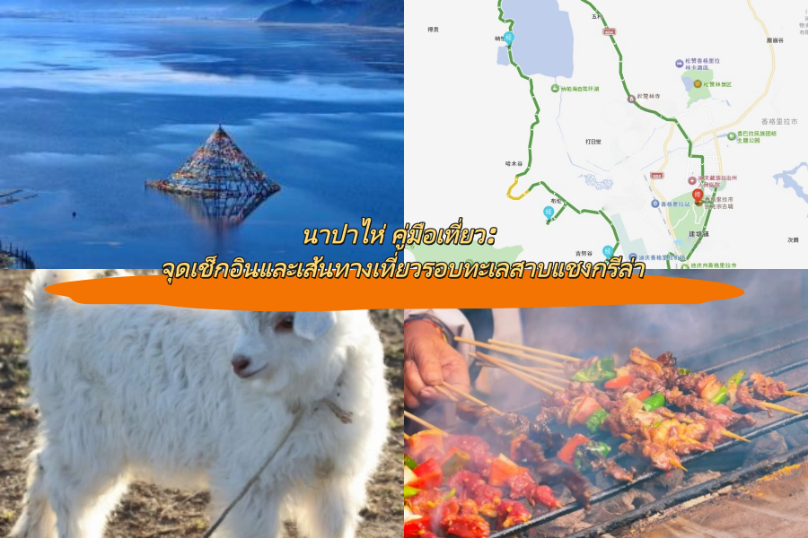 นาปาไห่ คู่มือเที่ยว: จุดเช็กอินและเส้นทางเที่ยวรอบทะเลสาบแชงกรีล่า