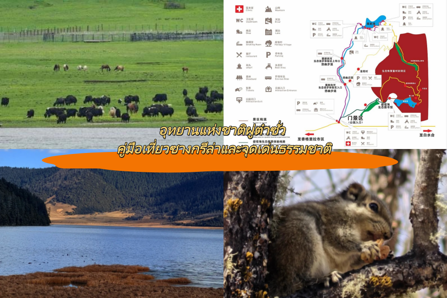 อุทยานแห่งชาติผู่ต๋าซั่ว คู่มือเที่ยวซางกรีล่าและจุดเด่นธรรมชาติ