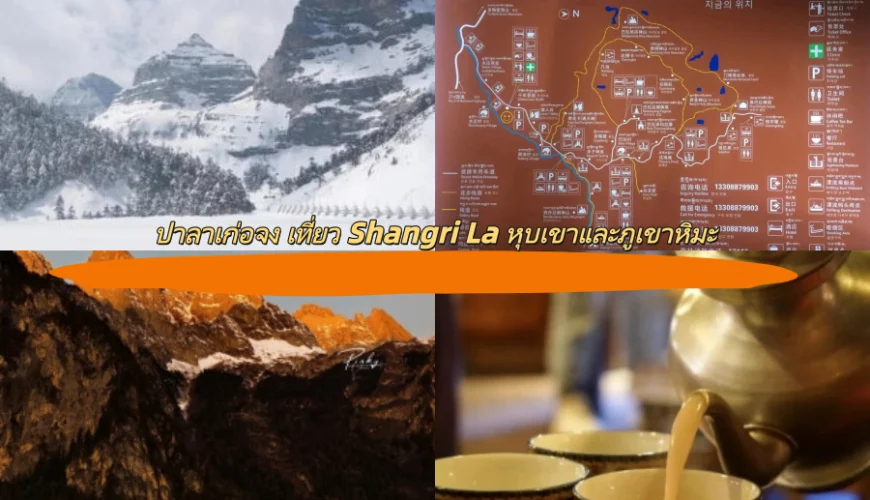 ปาลาเก่อจง เที่ยว Shangri La หุบเขาและภูเขาหิมะ