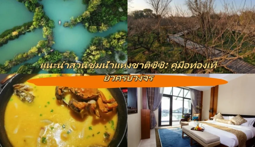 แนะนำสวนชุ่มน้ำแห่งชาติซีซิ: คู่มือท่องเที่ยวครบวงจร