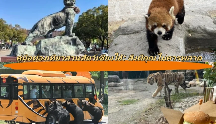 คู่มือท่องเที่ยวสวนสัตว์เซี่ยงไฮ้: สิ่งที่คุณไม่ควรพลาด