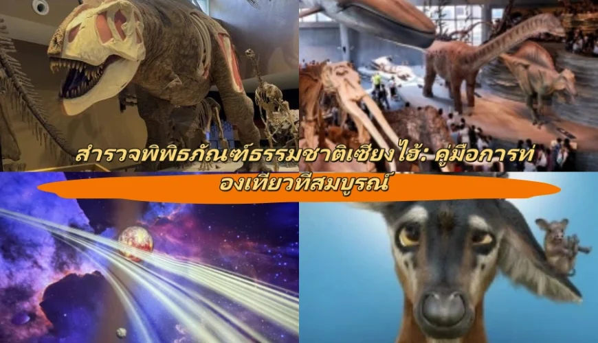 สำรวจพิพิธภัณฑ์ธรรมชาติเซี่ยงไฮ้: คู่มือการท่องเที่ยวที่สมบูรณ์