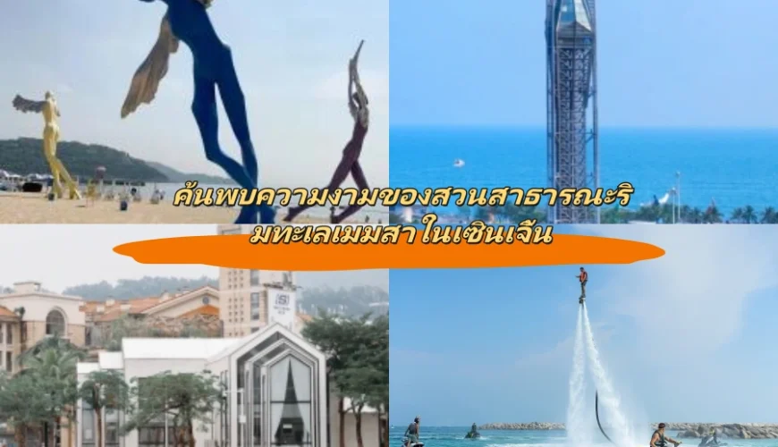 ค้นพบความงามของสวนสาธารณะริมทะเลเมมสาในเซินเจิ้น