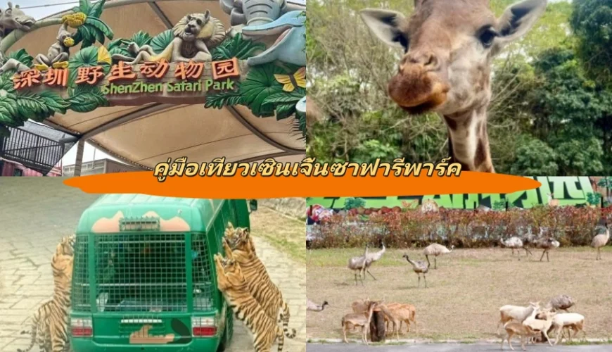 คู่มือเที่ยวเซินเจิ้นซาฟารีพาร์ค