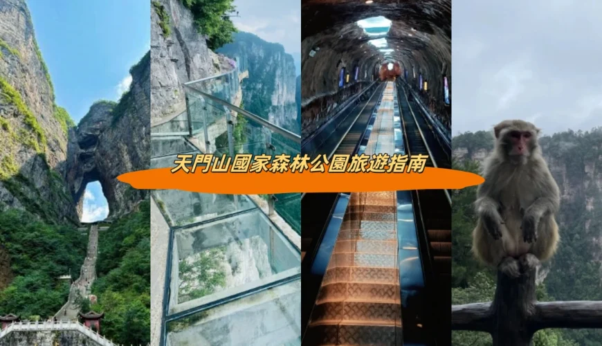 天門山國家森林公園旅遊指南