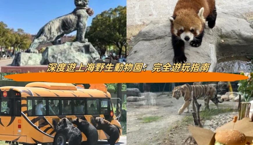 深度遊上海野生動物園：完全遊玩指南