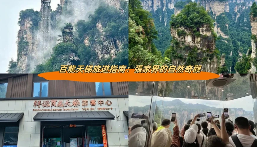 百龍天梯旅遊指南：張家界的自然奇觀
