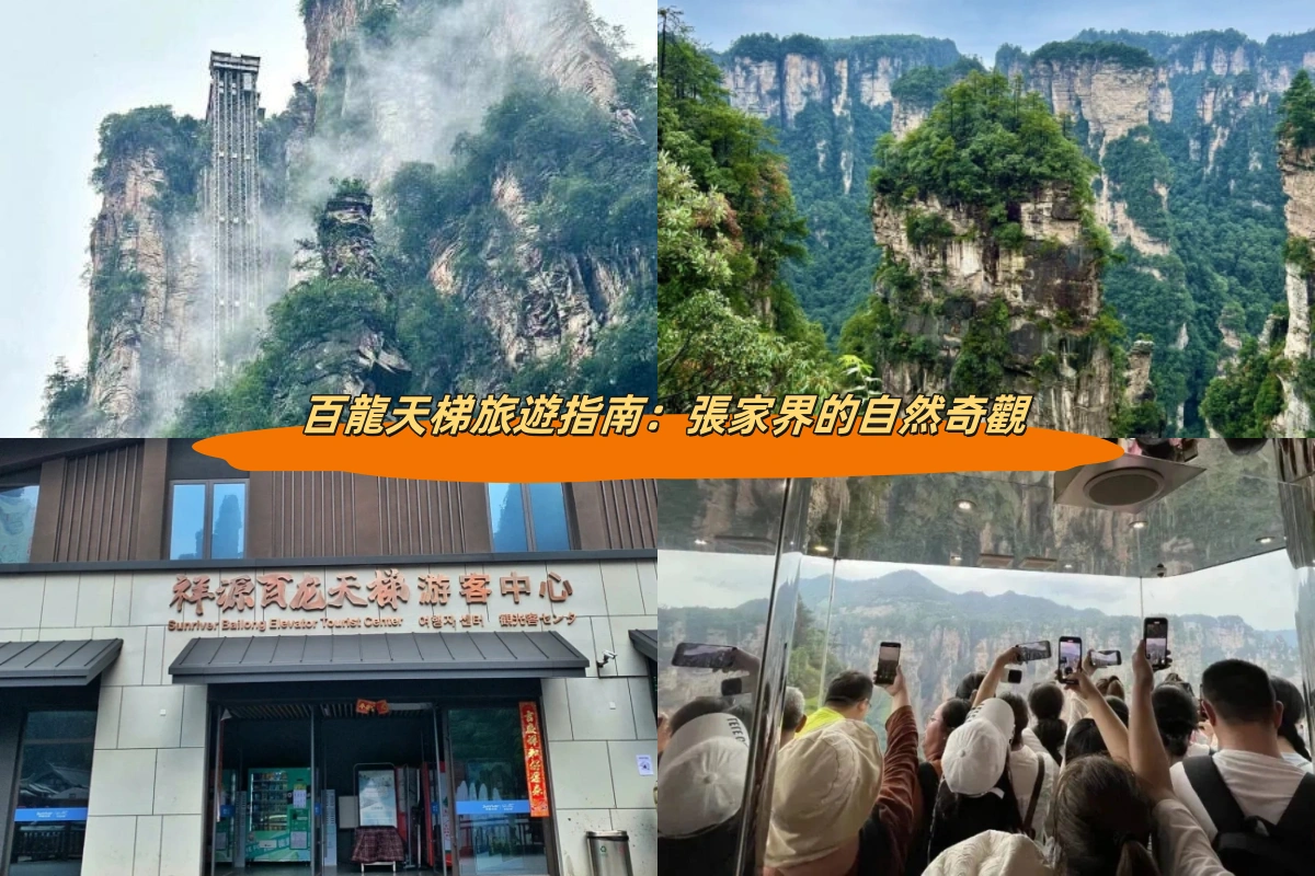 百龍天梯旅遊指南：張家界的自然奇觀