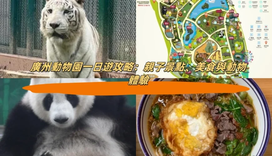 廣州動物園一日遊攻略：親子景點、美食與動物體驗