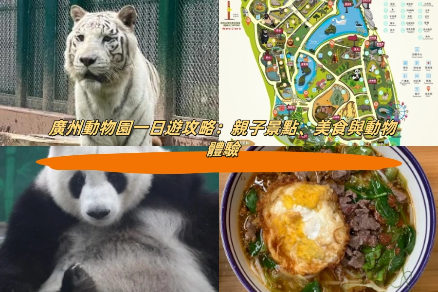 廣州動物園一日遊攻略：親子景點、美食與動物體驗