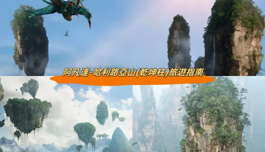 阿凡達-哈利路亞山(乾坤柱)旅遊指南