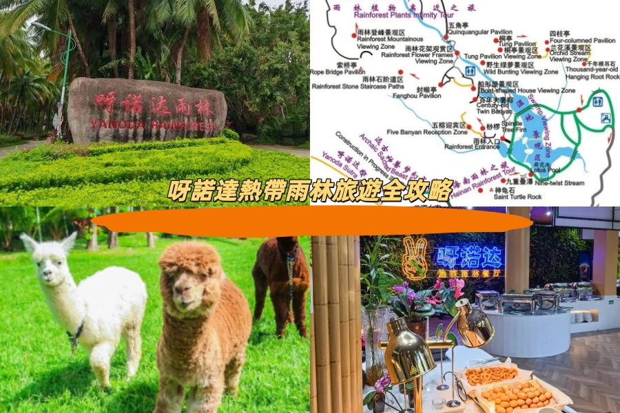 呀諾達熱帶雨林旅遊全攻略