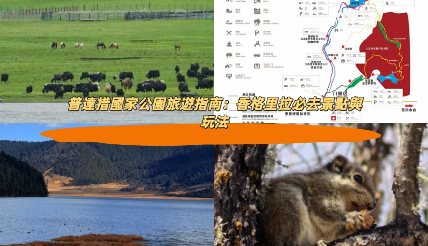 普達措國家公園旅遊指南：香格里拉必去景點與玩法