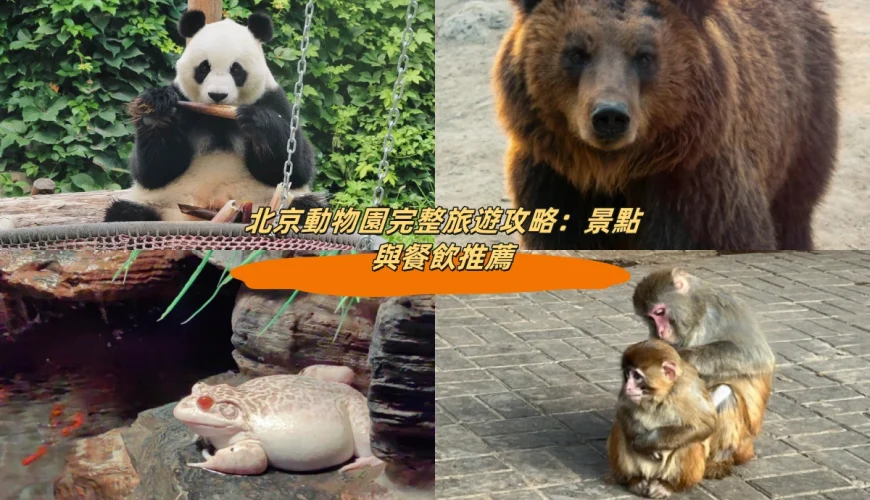 北京動物園完整旅遊攻略：景點與餐飲推薦