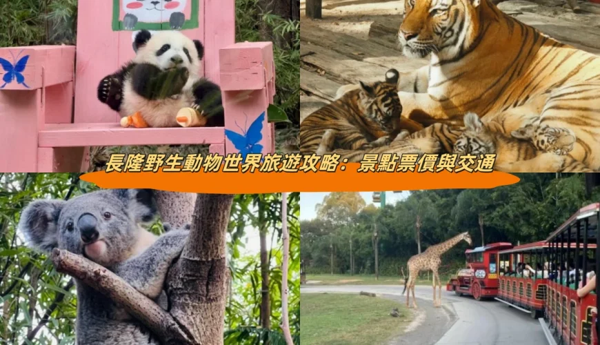 長隆野生動物世界旅遊攻略：景點票價與交通