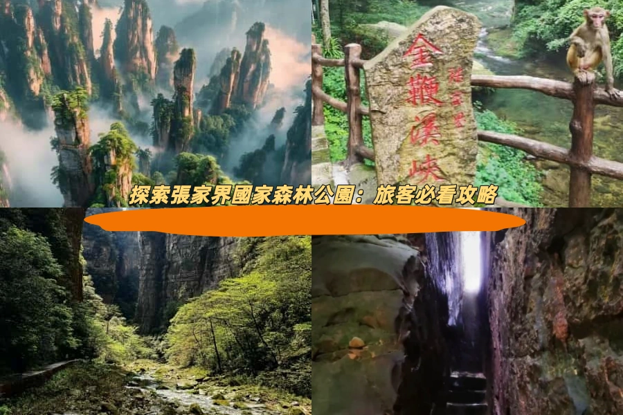 探索張家界國家森林公園：旅客必看攻略