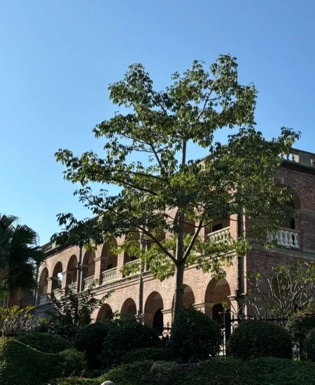 tour_万国建筑博览