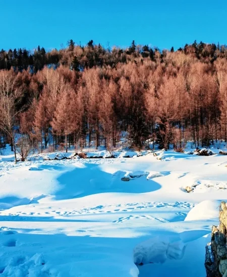 tour_二浪河景区