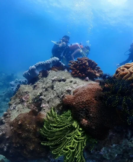 tour_亚龙湾潜水海上娱乐项目
