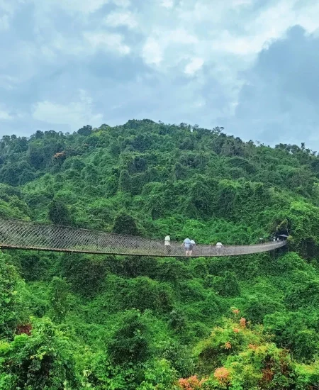 tour_亚龙湾热带天堂森林公园
