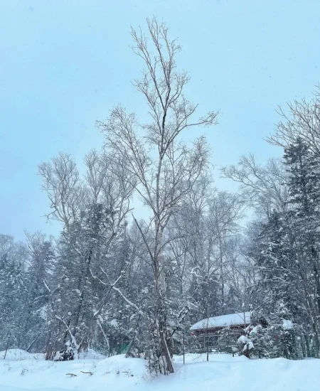 tour_冰雪十里画廊