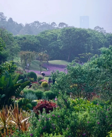 tour_厦门园林植物园