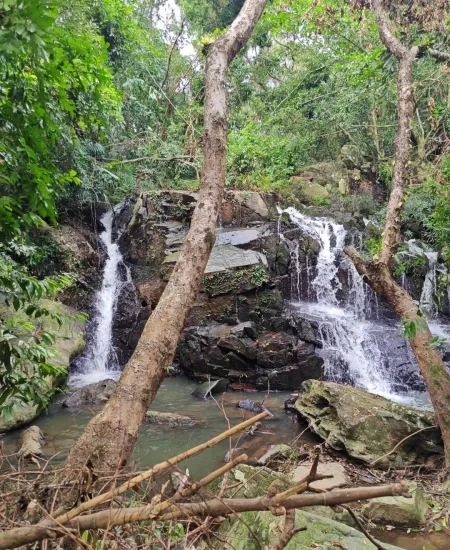 tour_呀诺达热带雨林