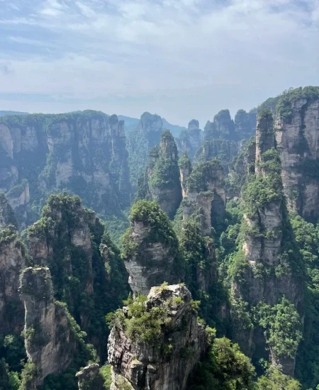 tour_天子山风景区
