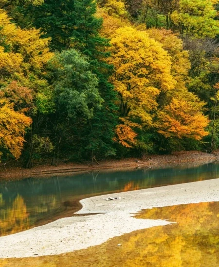 tour_奶子沟彩林景区