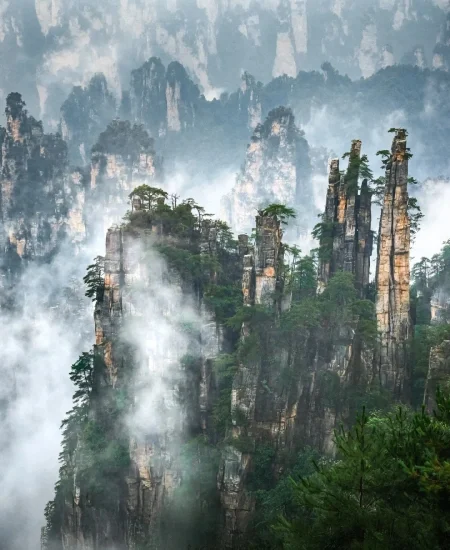 tour_张家界国家森林公园
