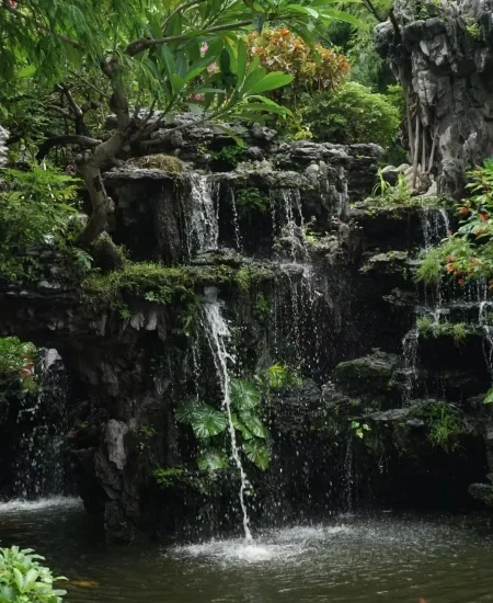 tour_清晖园博物馆