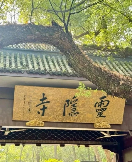 tour_灵隐寺