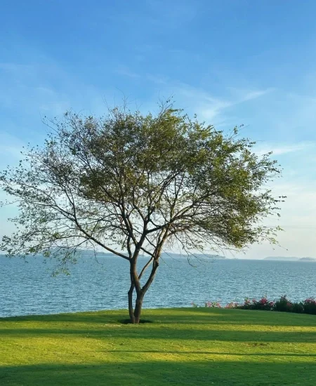 tour_玩月坡假日海岸