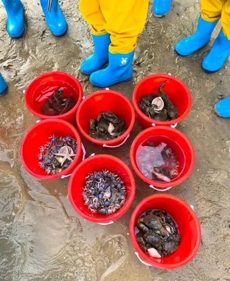 tour_趣味赶海抓螃蟹