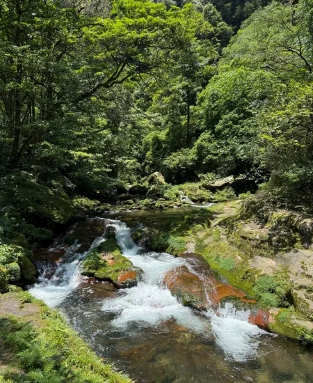 tour_金鞭溪峡谷