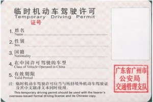 临时驾照样式-广州颁发