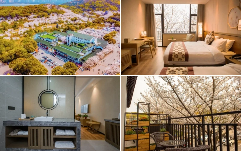 Wuxi Sakura Villa (Taihu Yuantouzhu Scenic Area)