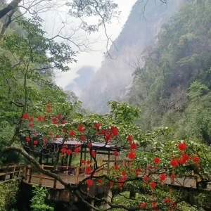 黑山谷內部森林溪流與步道